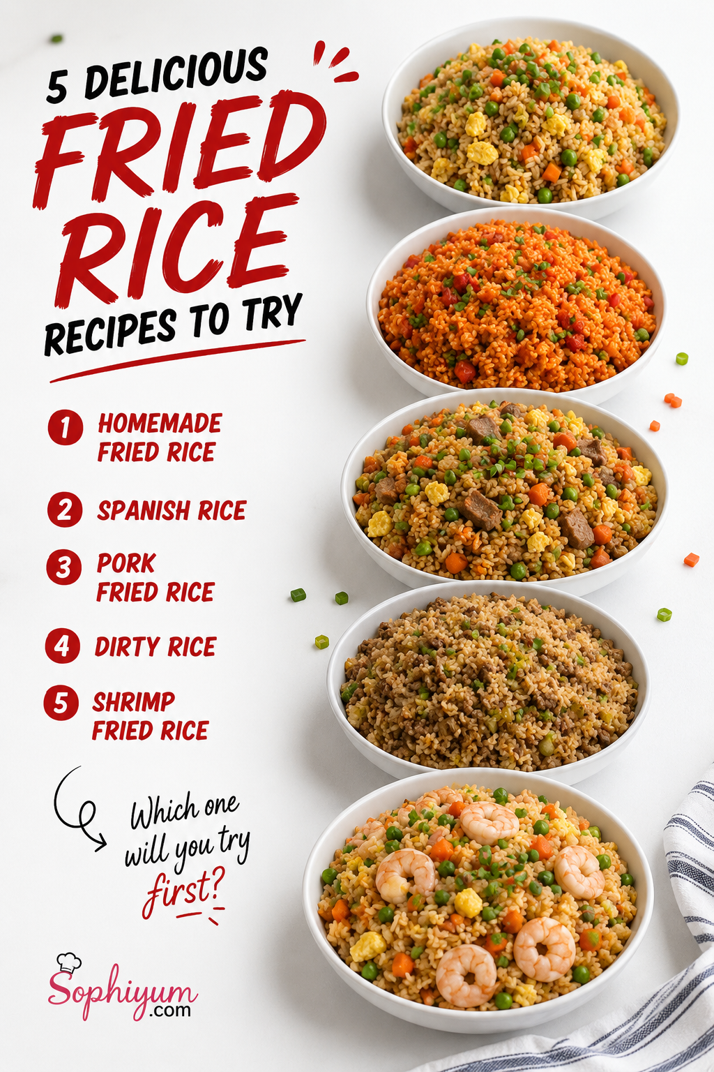 5 Delicious Fried Rice Recipes to Try 1 Five delicious fried rice recipes displayed on plates