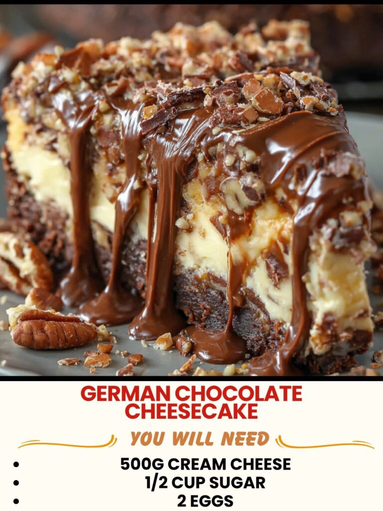 German chocolate cheesecake with chocolate and coconut topping
