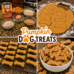 pumpkin dog treats 1